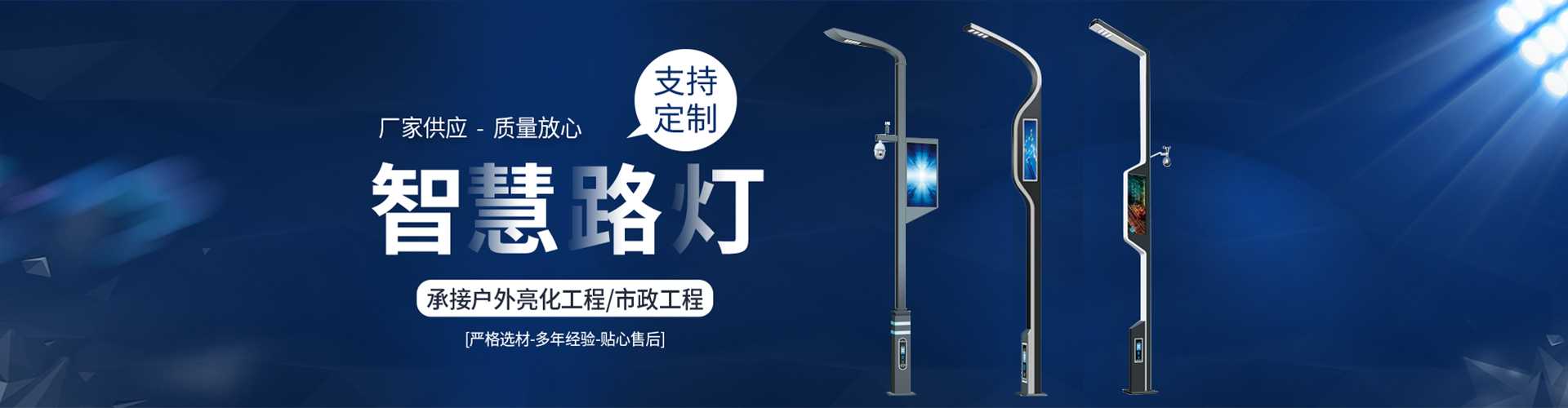 桃山区太阳能路灯定制厂家